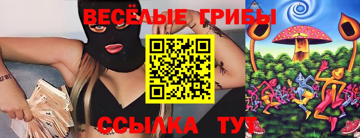 Псилоцибиновые грибы GOLDEN TEACHER Каменск-Шахтинский