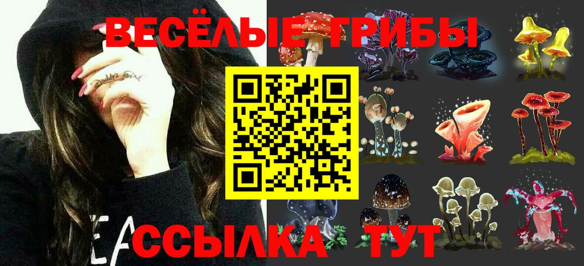 Каменск-Шахтинский  Галлюциногенные грибы GOLDEN TEACHER  Вход с VPN 